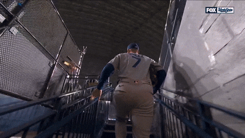 World Series Sport GIF by MLB