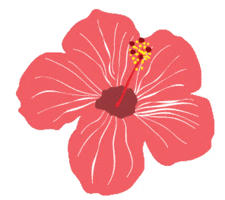 lespetitssurfeurs flower hibiscus viktoriasurfbag surfflower GIF