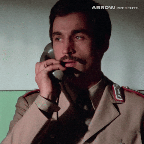 Italian Film GIF by Arrow Video