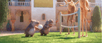 disney animation GIF by Disney Zootopia