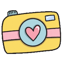 Camera Shooting Sticker