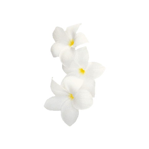 Beauty Love Sticker by Avonturia