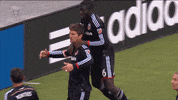 soccer goal GIF by D.C. United