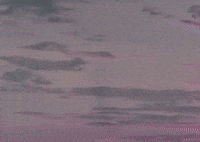 KeshiDawgies gabriel limbo keshi casey luong GIF