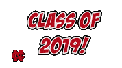 ncgrad2019 Sticker by NCAlumni