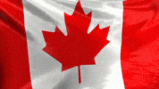 Canada Flag GIF