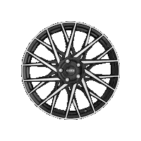 Fuji Dotz Sticker by dotzwheels