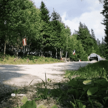 Fast Car Friday GIF by FIA World Rally Championship
