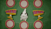 baby animals bunny GIF by Disney