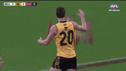 luke foley draft GIF by AFL