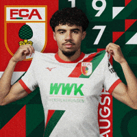 Football Fuggerstadt GIF by FC Augsburg 1907