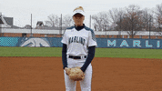 vwu_marlins vwu wethebeach virginiawesleyan marllins GIF