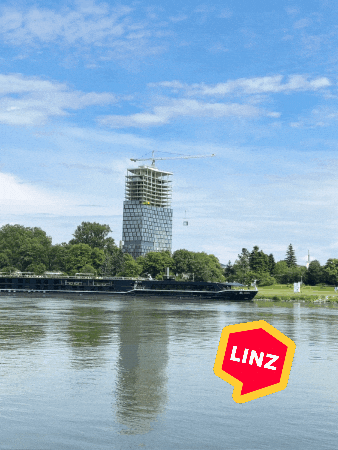 Window What GIF by Linz News