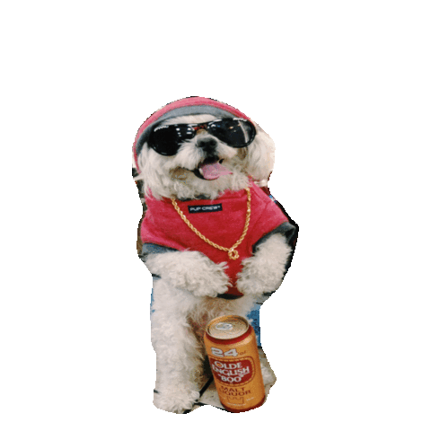 beer STICKER by imoji