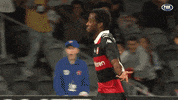 Western Sydney Wanderers Celebration GIF by wswanderersfc