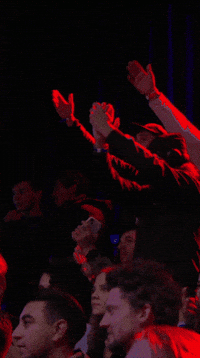 Clapping Celebrate GIF by Red Bull