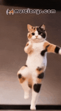 Radio Feliz GIF by Murcianys LLC