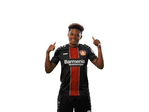 happy dance Sticker by Bayer 04 Leverkusen