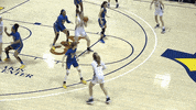 GIF by Drexel Dragons
