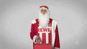 santa claus football GIF by Bundesliga