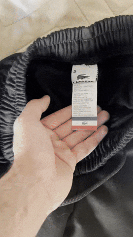 maximenoza giphyupload GIF