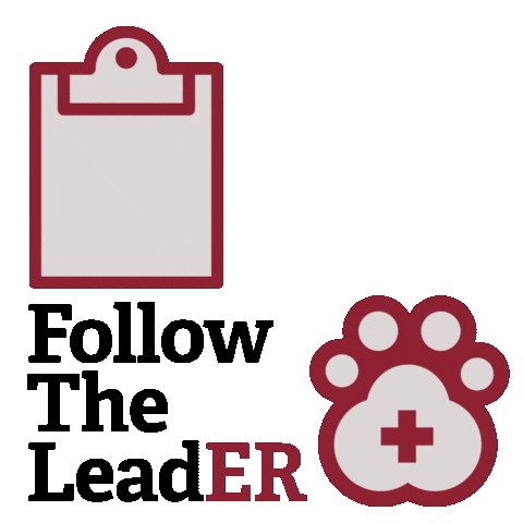 LeadERVET paw veterinary veterinarian follow the leader Sticker