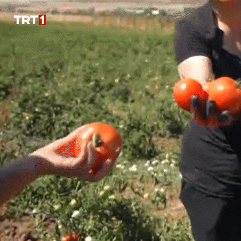 Eat For You GIF by TRT