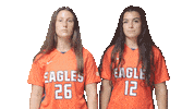 Cnws Sticker by Carson-Newman Athletics