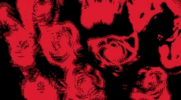 21st century breakdown GIF by Green Day