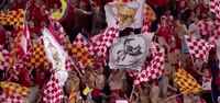 newyorkredbulls fans flags newyorkredbulls GIF