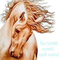 My Horse Sticker