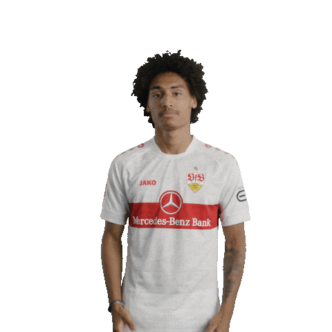 Sorry Not Sorry What Sticker by VfB Stuttgart