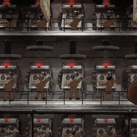 Netflix GIF by Disenchantment