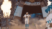 Keep Pounding Carolina Panthers GIF by NFL