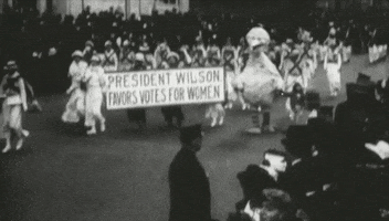 muppetwiki muppets GIF