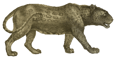 almadelvalle animal teeth jungle feline Sticker