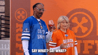 Say What?