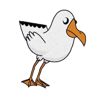 Sfm Sticker by The San Francisco Marathon