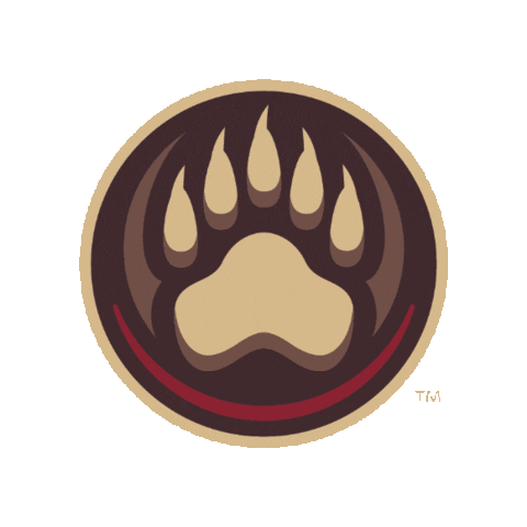 hersheybears hockey bears hershey hershey bears Sticker