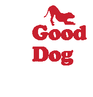 Dogs Puppies Sticker by SchoolForTheDogs