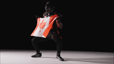 Canadian Football GIF by BC Lions