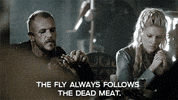 season 3 vikings GIF by HISTORY