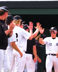 Baseball Dons GIF by Purdue Fort Wayne Athletics