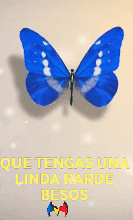 Logo Llena GIF by Murcianys LLC