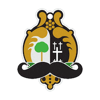 Sport Spain Sticker by Rugby El Salvador