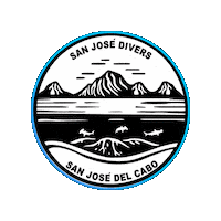 Sanjosedivers mexico shark dive diving Sticker