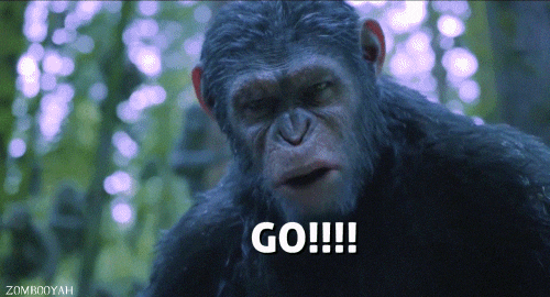 Movie gif. An ape from Planet of the Apes opens its mouth and screams at us, "No!"