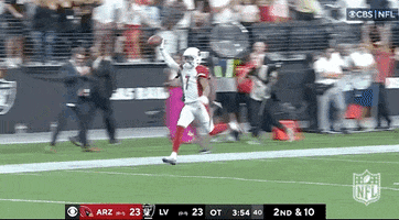 Arizona Cardinals Football GIF by NFL