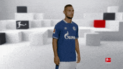 Posing Line Up GIF by Bundesliga