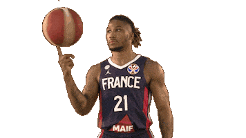 France Game Sticker by FIBA
